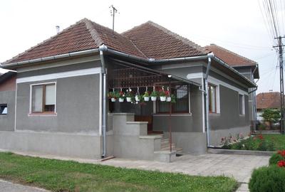 Casa bine intretinuta in Criscior, cu teren de 2502 mp