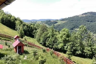 Casă cu Teren 6000 Mp în Câmpeni - 5