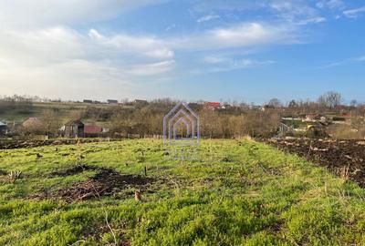 48 ari teren , cu casa batraneasca, Antoceni, Forasti, Sucea - 3