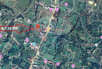 Teren de 4138 mp, în Sud - 1