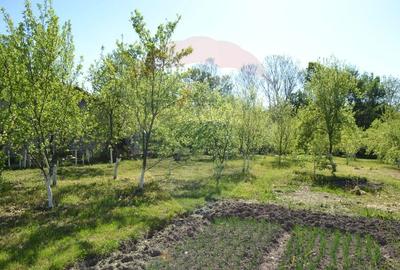 Casă individuală cu 5 camere cu Teren 1842 Mp în Picior de Munte - 21