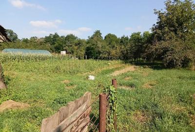 Casă cu 3 camere în Bunești - 3