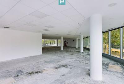 Spatiu birouri clasa A zona de nord, Herastrau. - 4