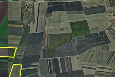 Teren de 300000 mp, în Agigea - 5