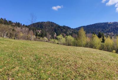 Teren de 3000 mp, în Moisei - 3