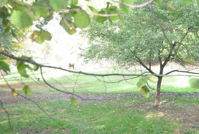 Brasov-Schei -Teren intravilan de vanzare - 1