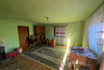 Investitie pentru liniste si oaza de verdeata - 4