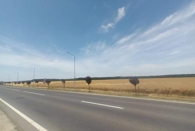 Teren Vanzare Intravilan Branesti - Investitie Zona Industriala Vis a Vis Makita - 30