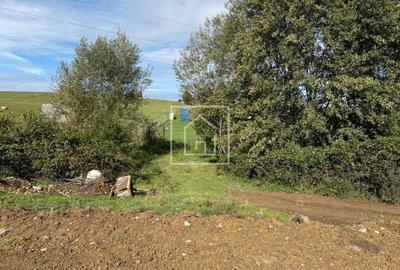 Teren intravilan 2020 mp cu deschidere 24 ml in zona Tocile 58 Euro/MP - 6