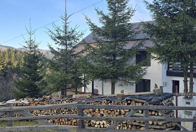 Casă cu 3 camere cu Teren 402 Mp în Bran - 5