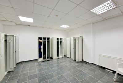 De Inchiriat Spatiu industrial si Birouri 3700 MP Teren 24895MP Sindrilita DN2 - 10