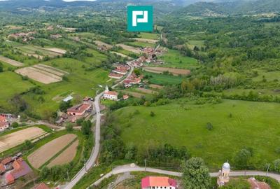Casă cu Teren 24494 Mp în Lupești - 9