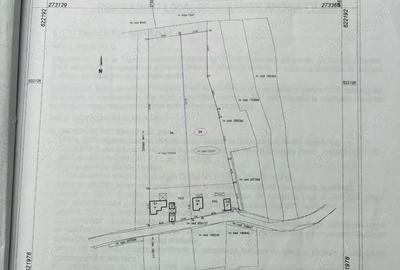 Teren de 3900 mp, în Podgoria - 2