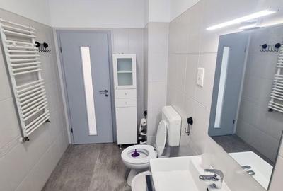 Apartament cu 2 camere decomandat, mobilat în Torontalului - 3