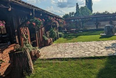 CASA\VILA DE VANZARE \COM. OBREJA\SAT IAZ\CARA?-SEVERIN - 13