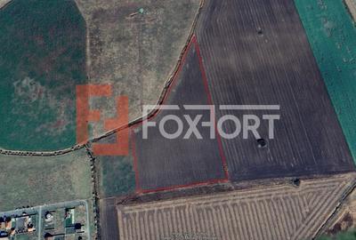 COMISION 0% Teren Extravilan Agricol, Beregsau Mare - Zona in dezvoltare - 4