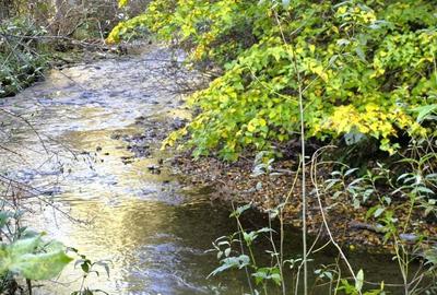 Casa cu teren 3000m2 intravilan - 3