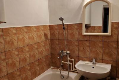 Garsonieră decomandată în Lacu - 7