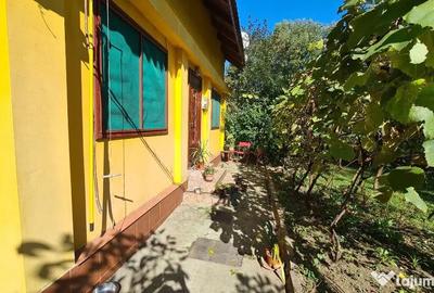Casă cu 3 camere cu Teren 495 Mp în 3 Insule - 9