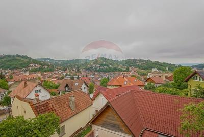 Casa / Vila cu 5 camere de vanzare in zona Schei, Cotun 9 - 2