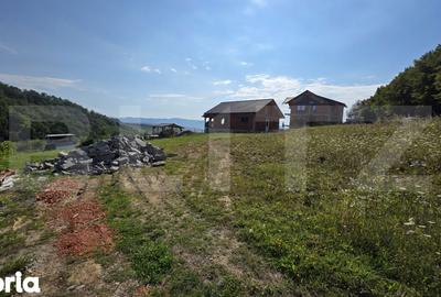 Teren de 875 mp, în Șieu - 5