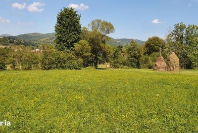 Teren de 3700 mp, în Sălciua - 5