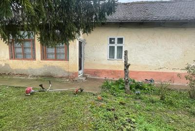 Casa de vanzare in Salonta - 4