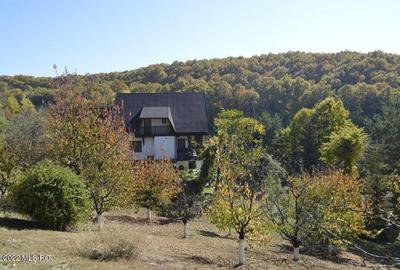 Topoloveni - Conacul Ion Mihalache, Domeniu pe 5 Hectare - 40