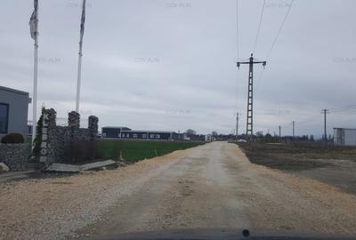 Teren Construcții intravilan de 2100 mp, în Griviței - 2