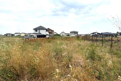 Teren Intravilan pe Strada Bega/Com. Berceni – Locatia Perfecta pentru Casa Ta - 3