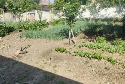 Casă cu 3 camere în Central - 8