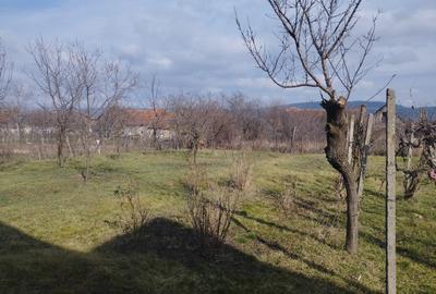 Casă individuală cu 4 camere cu Teren 1800 Mp în Buteni - 1