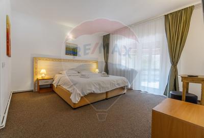 Hotel/Pensiune, de 404 mp, în Vlădeț - Trei Brazi - 18
