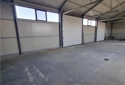 HALA 240 mp Constructie Noua Alexandria - 5