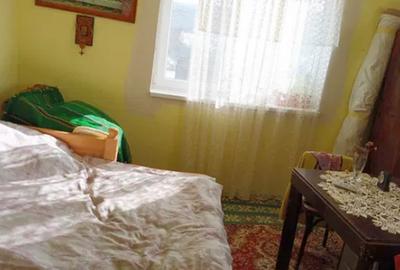 Casă individuală cu 2 camere cu Teren 1700 Mp în Henig - 2