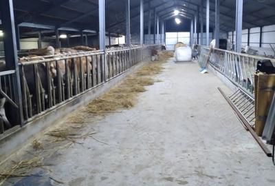 Spațiu comercial, de 1,000 mp, în Izvoru Crișului - 3