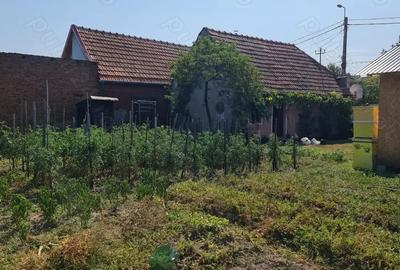 Casă cu 2 camere cu Teren 334 Mp în Vinerea