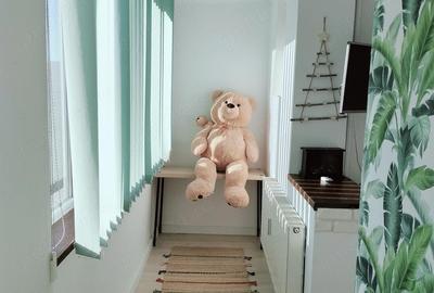 Apartament cu 2 camere semidecomandat în Baba Novac - 4