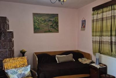 Baia Sprie, casa cu etaj ,10 ari teren - 8