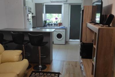 Apartament cu 2 camere decomandat, mobilat în Nord - 12