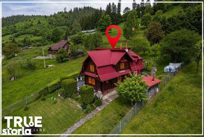 Casă cu 5 camere cu Teren 4015 Mp în Lunca - 1