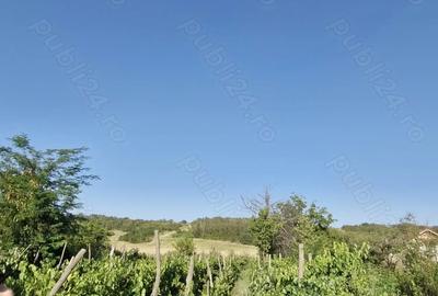 Casa de vanzare 81 mp cu teren 1455 mp intravilan si teren extravilan de 2200 mp - 5