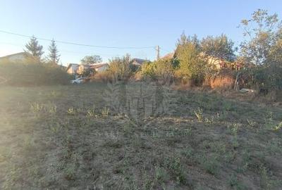 TEREN INTRAVILAN  PLOPU//3000 MP - 4