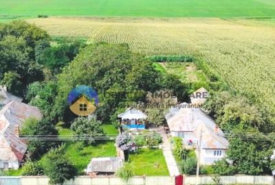 TEREN intravilan 9.126 mp - comuna STEFAN cel MARE - 9