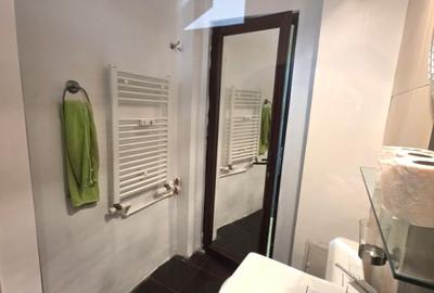 Apartament cu 2 camere semidecomandat, mobilat în Gorjului - 9