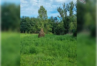 Teren pentru constructii in comuna Ciurila - 6