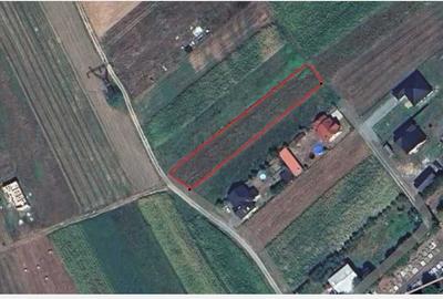 Spațiu comercial, în Cătălina - 2