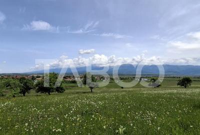 COMISION 0% Teren intravilan de vanzare 4460 mp Bradu Sibiu - 13