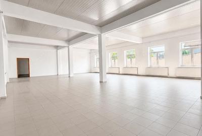 Spațiu comercial, de 663 mp, în Mehala - 6
