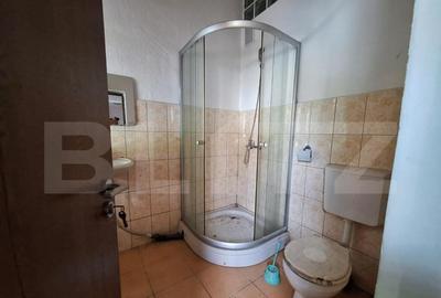 Proprietate de cazare, spatii comerciale, Lugoj - 9